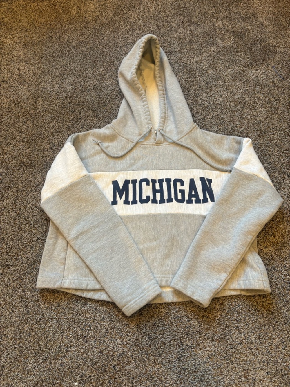 Champion Light Gray Hooded Sweatshirt with White Lining Michigan size small